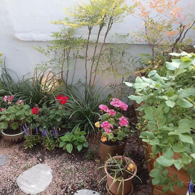 Hongdae Sunlight House-3room2bath